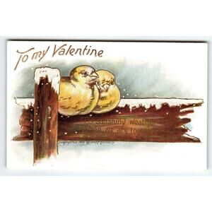 To My Valentine Postcard Love Birds On Snow Covered Fence Fred Lounsbury 1906
